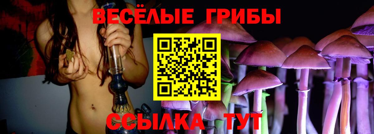 Рассказово  Псилоцибиновые грибы мицелий  Галлюциногенные грибы прущие грибы  Вход с VPN 